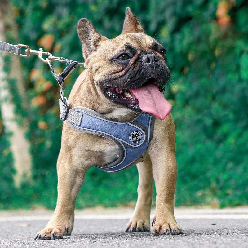 

Dog Safe Collar Luminous Breathable Strap Outdoor Strap Traction Dog Lead Chest Walking Leash Escape Proof Dog Harnesses Vest