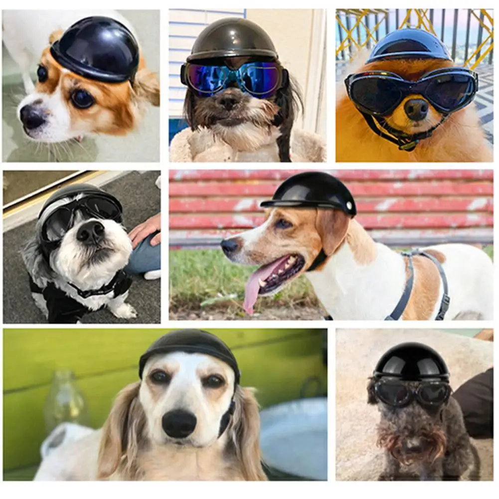 

Складные очки для домашних животных, 2 цвета