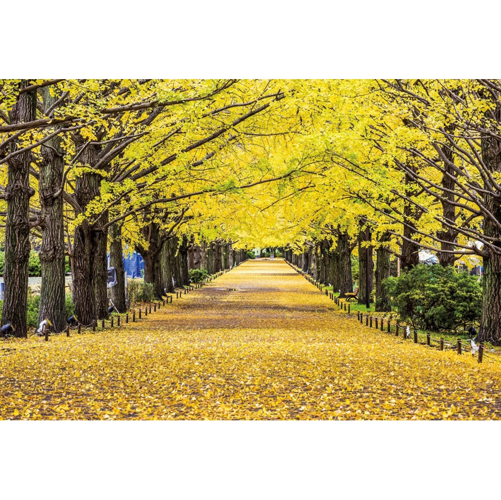 Laeacco осенний лес природа фоны осенние листья парк путь кленовый лист живописный