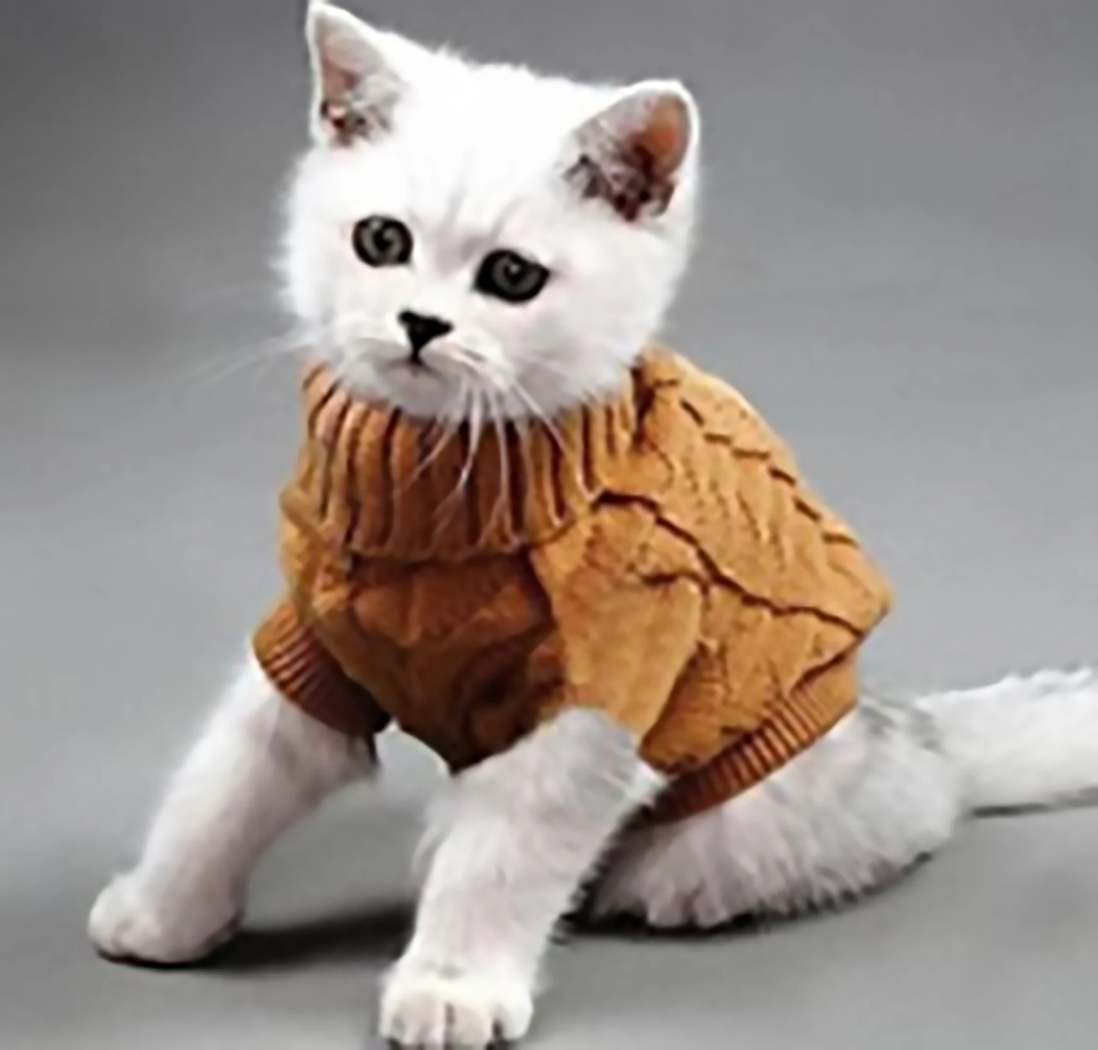 

XS-3XL 9Colors Warm Knitted Cats Sleeveless Sweater Soft Classic Cute Solid Puppy Dog Pet Coat Clothes