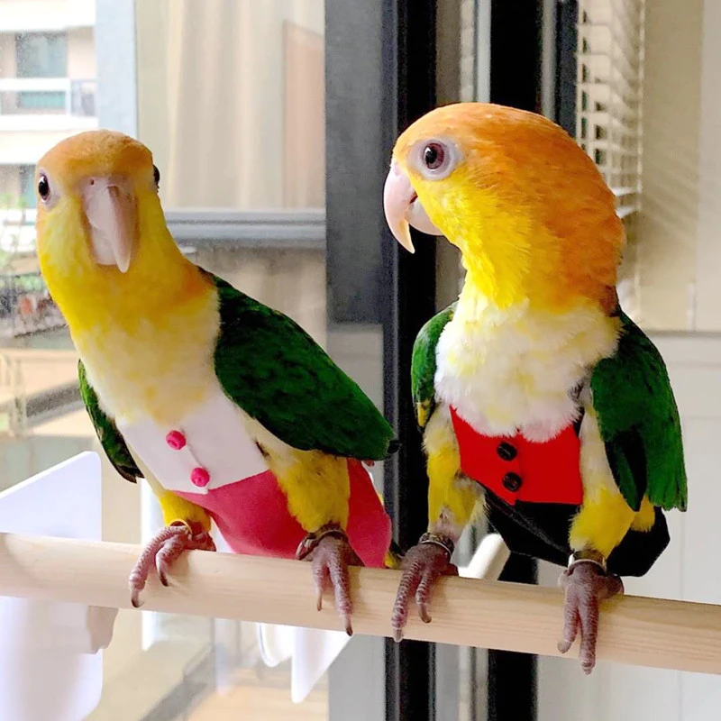 Одежда для подгузников с попугаем и птицей новый тип летающий костюм штаны Macaw