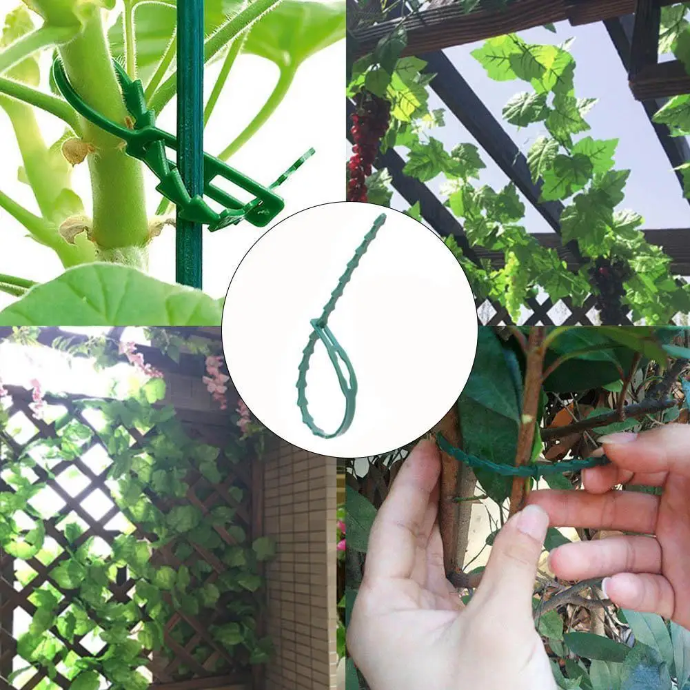 

New 50Pcs Garden Zip Ties Plastic Cable Ties Self-Locking Adjustable Shrubs Cable Tree Ties Reusable Plant Fastener Support D0U3