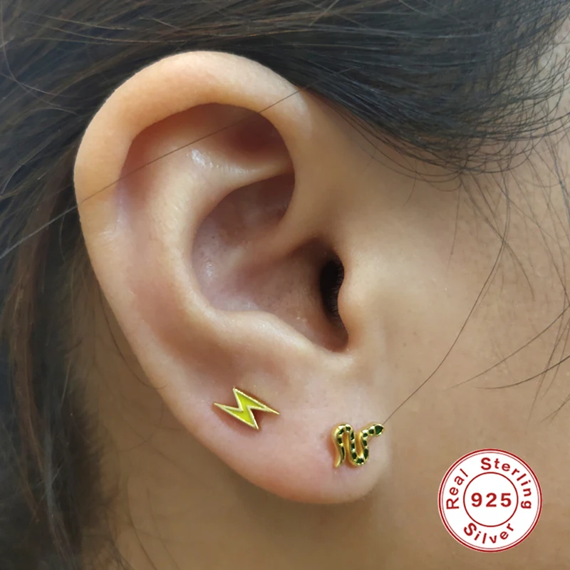 

CANNER Butterfly Watermelon Stud Earrings for Women Piercing Bone Nail Enamel Earrings For Women Silver 925 Jewelry Pendientes