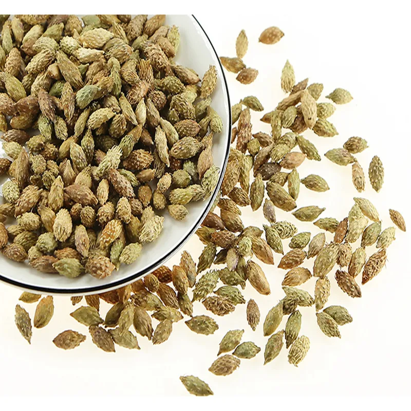 

High quality Xanthium Fructus Xanthii, Cang er zi, free shipping
