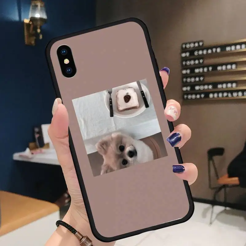 

cute cat dog aesthetic fashion Phone Case for iPhone 11 12 pro XS MAX 8 7 6 6S Plus X 5S SE 2020 XR