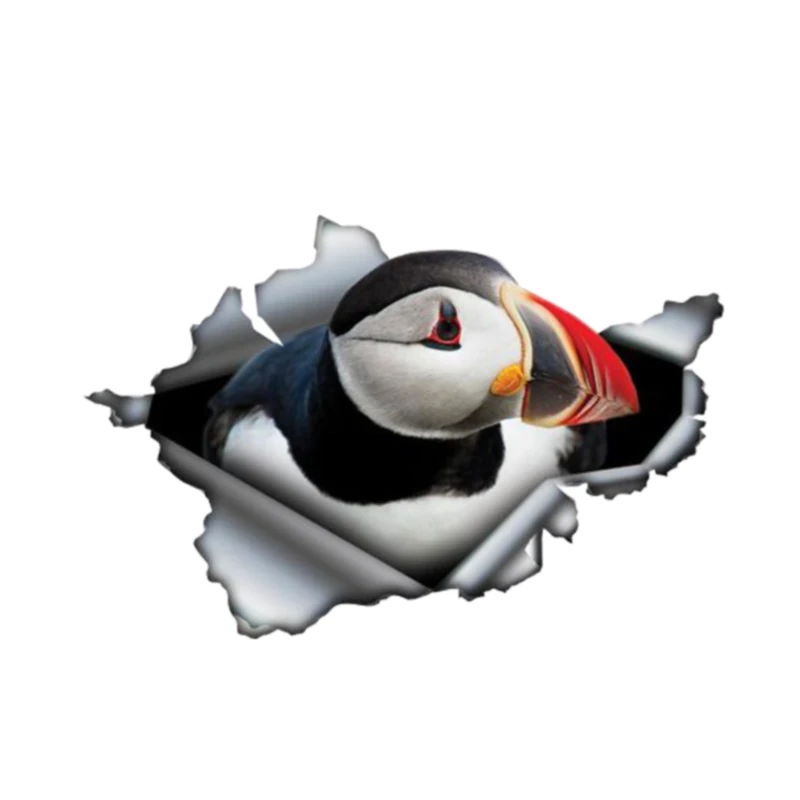 

Dawasaru Creative Car Sticke 3D Atlantic Puffin Car Window Decal Waterproof High Quality Vinyl Cover Scratches PVC 13cm*9cm