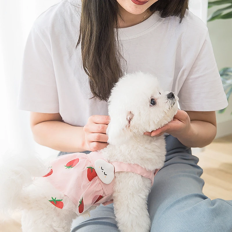 

Летнее Сетчатое платье принцессы для собак, юбки с принтом клубники, одежда для домашних животных, маленькое, большое, милое, крутое, дышащее...