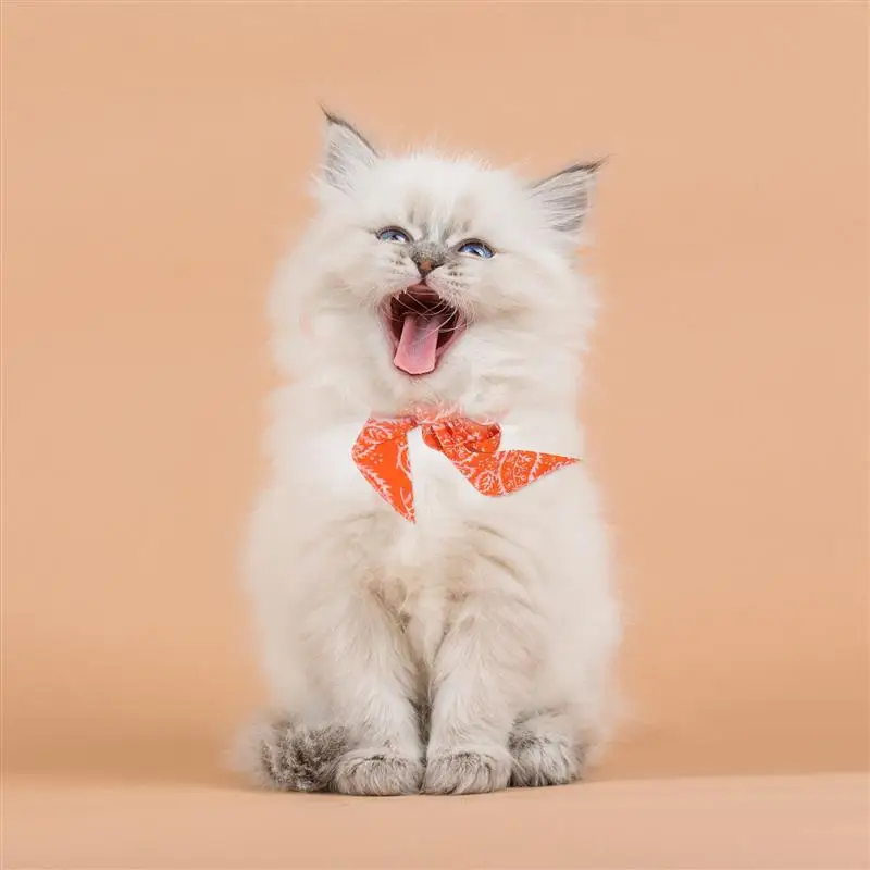 

5Pcs Pet Cooling Scarf Dog Cat Summer Scarf Outdoor Walking Running Ice Towel