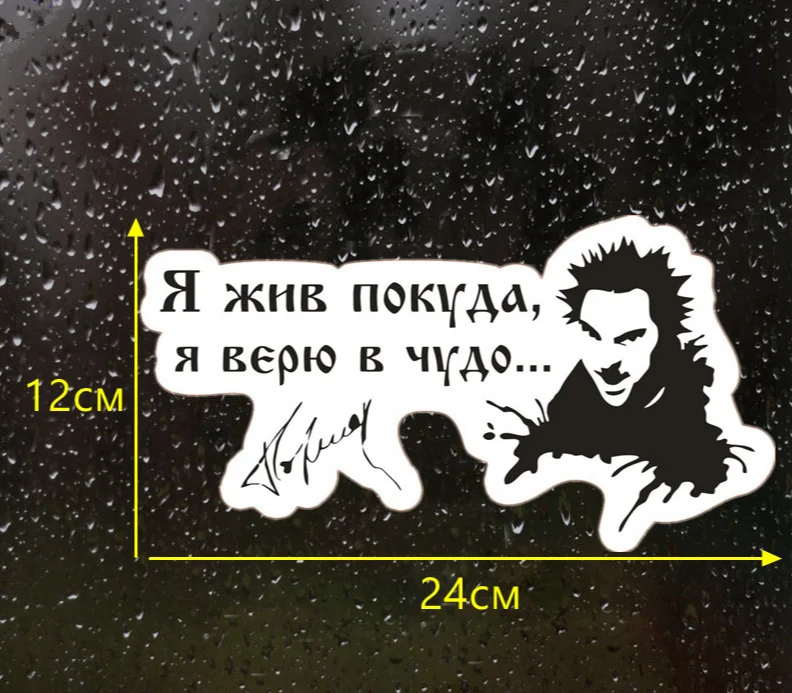 

24X12cm The King and The Fool Funny Car Sticker Vinyl Decal PVC Printed Silver/black Car Auto Stickers for Car Bumper