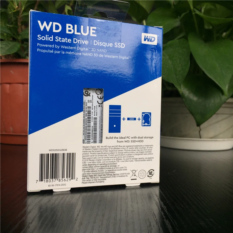 Western Digital WD Internal SATA M.2 SSD 250GB 500GB NGFF твердотельный накопитель 1 ТБ 2 ТБ Internal M.2 2280 ssd для портативных ПК