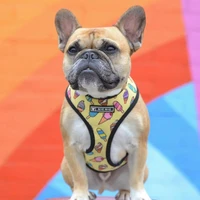 dog cat harness printed french bulldog mesh harness puppy small dogs harnesses vest for chihuahua yorkshire walking training