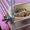 Изображение товара 1