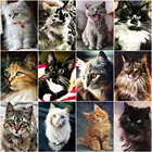 Полноразмернаякруглая алмазная живопись кот 5DIY, алмазная вышивка, вышивка крестиком, животные, набор мозаики из страз, украшение для дома