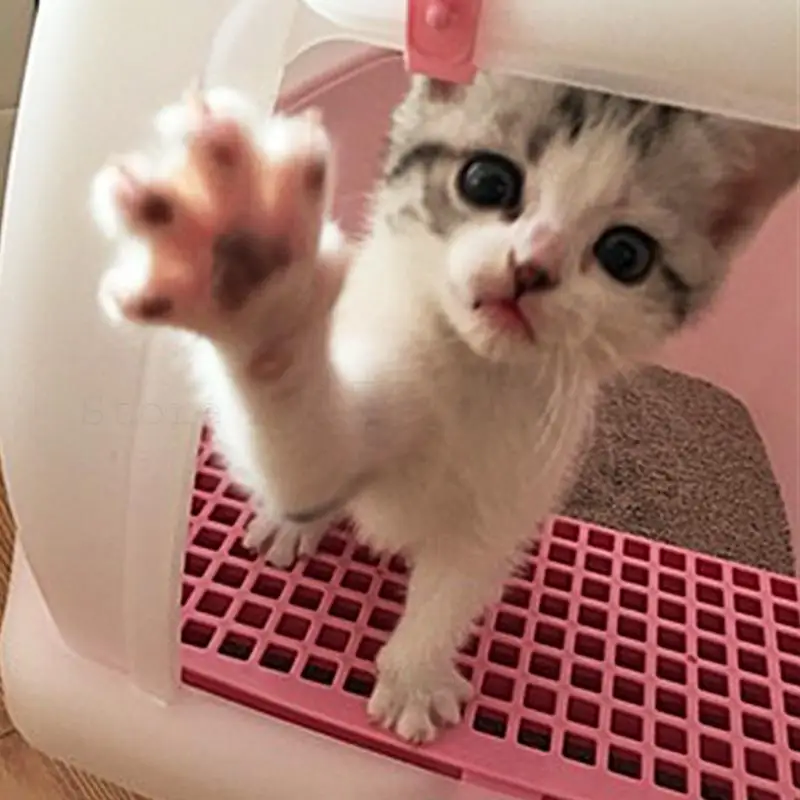 Горшок с песочным наполнителем для кошек полностью герметичный очень большой