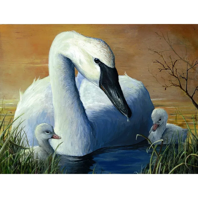 Облик каких животных принимают отражения лебедей на картине сальвадора дали