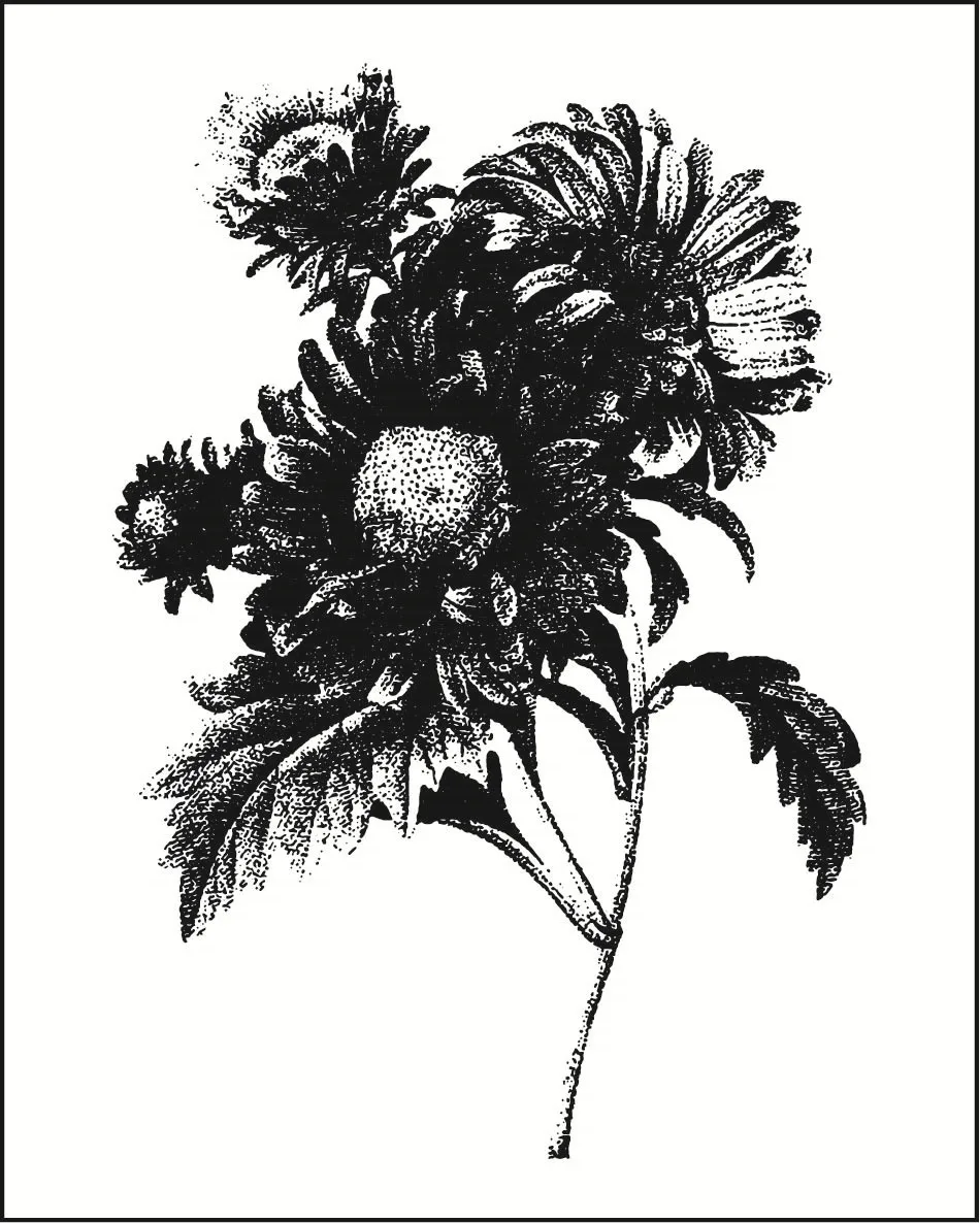 10X8 Цветок Прозрачный прозрачный силиконовый печать для DIY Скрапбукинг