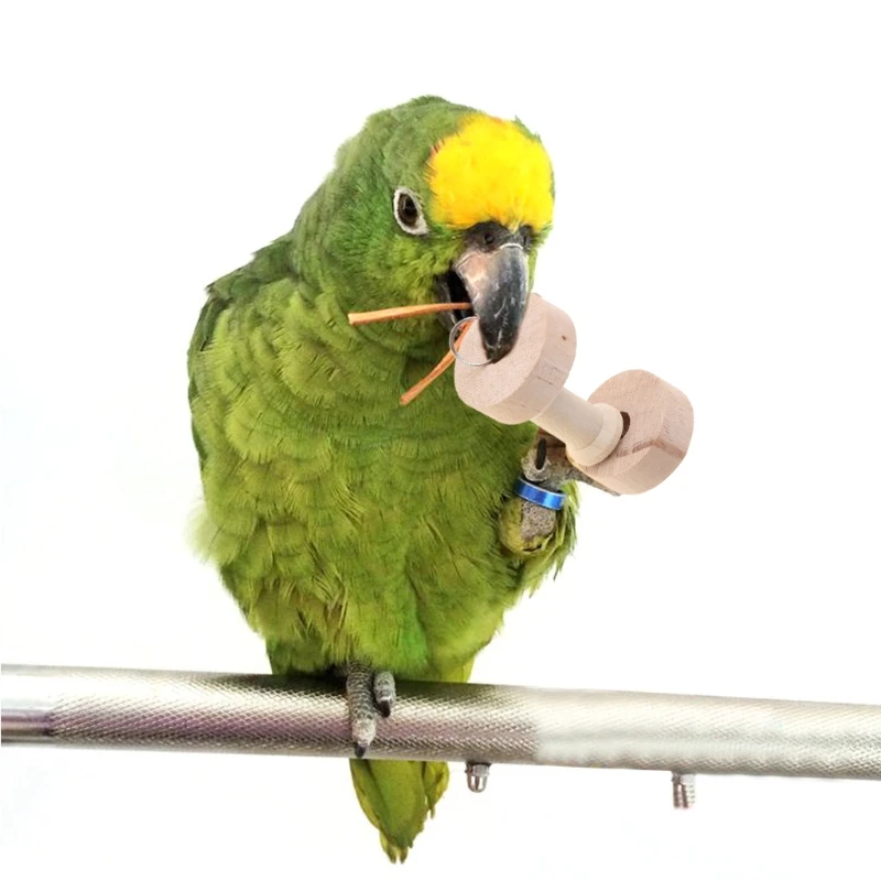 

Попугай, птица, гантели, жевательные игрушки, деревянная игрушка для попугаев, Какает, веселая клетка, игрушка, Новинка