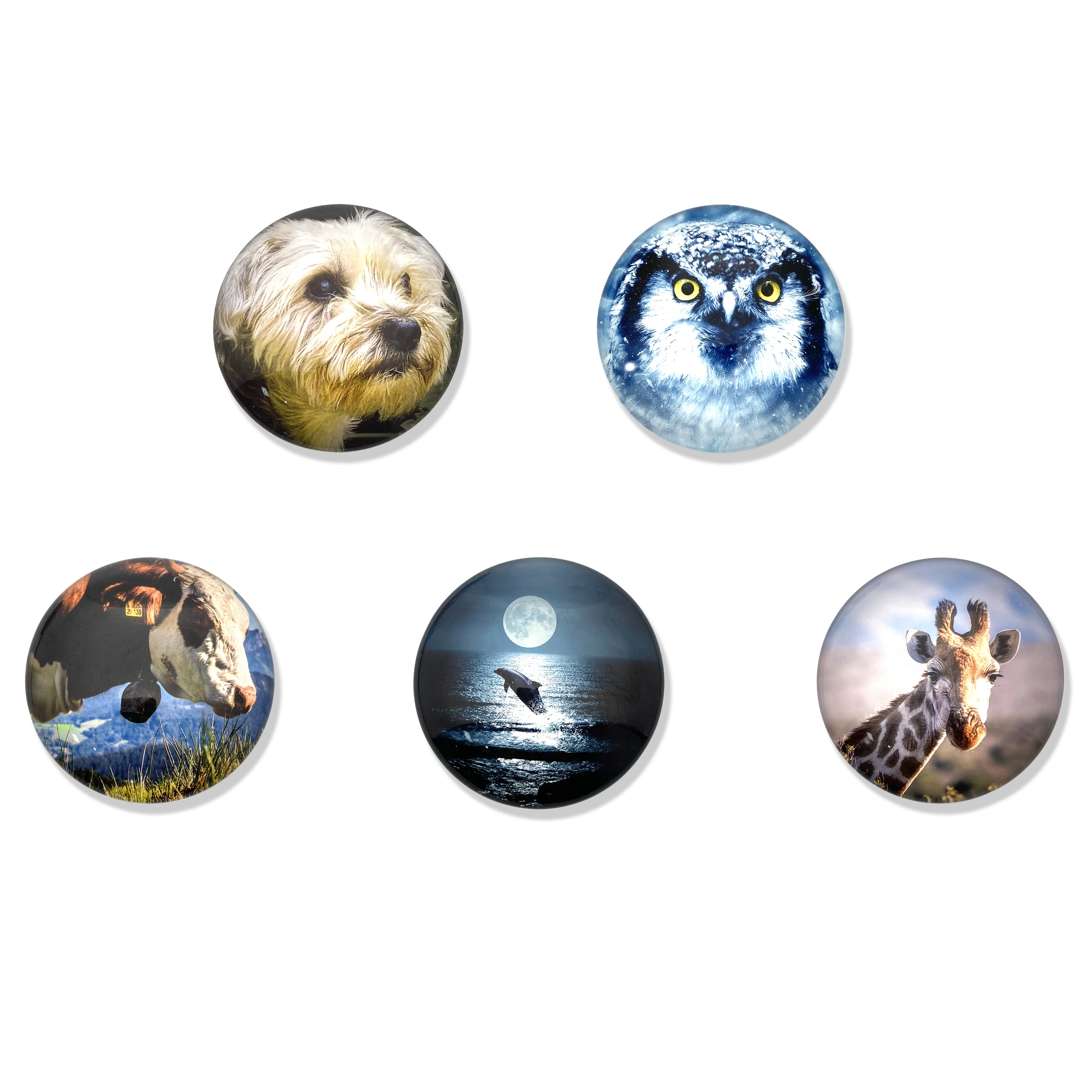 Нежная креативная Хрустальная стеклянная Серия животных Магнитная Наклейка на