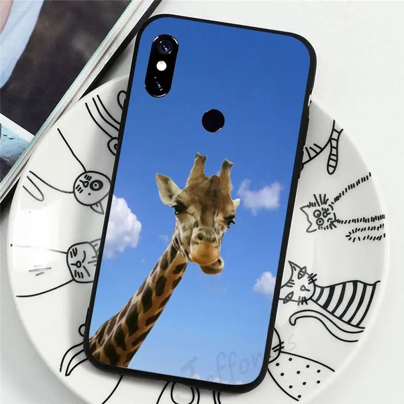 

Cute funny giraffe blue sky Phone Case For xiaomi redmi 9 9a 8 8a 7 7a k30 k30pro k20 k20pro mi 9 9t 9se 10 10pro 10lite cover
