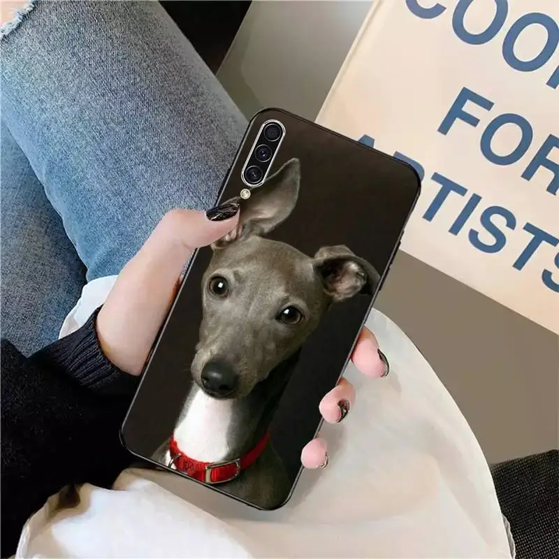 

Galgo Greyhound cute funny Dog Phone Case For Samsung galaxy A S note 10 7 9 20 30 31 40 50 51 71 21 s ultra high quality cover