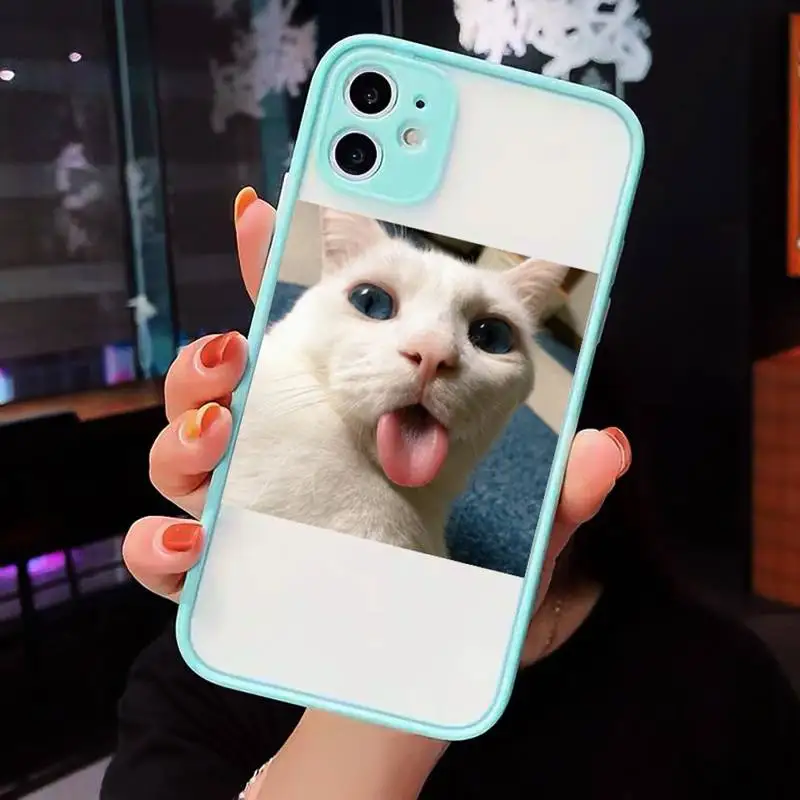 

Cute Cats New Year Gifts Phone Cases Matte transparent For blue iPhone 12 Mini 11 Pro XR XS Max 7 8 Plus X Back Cover
