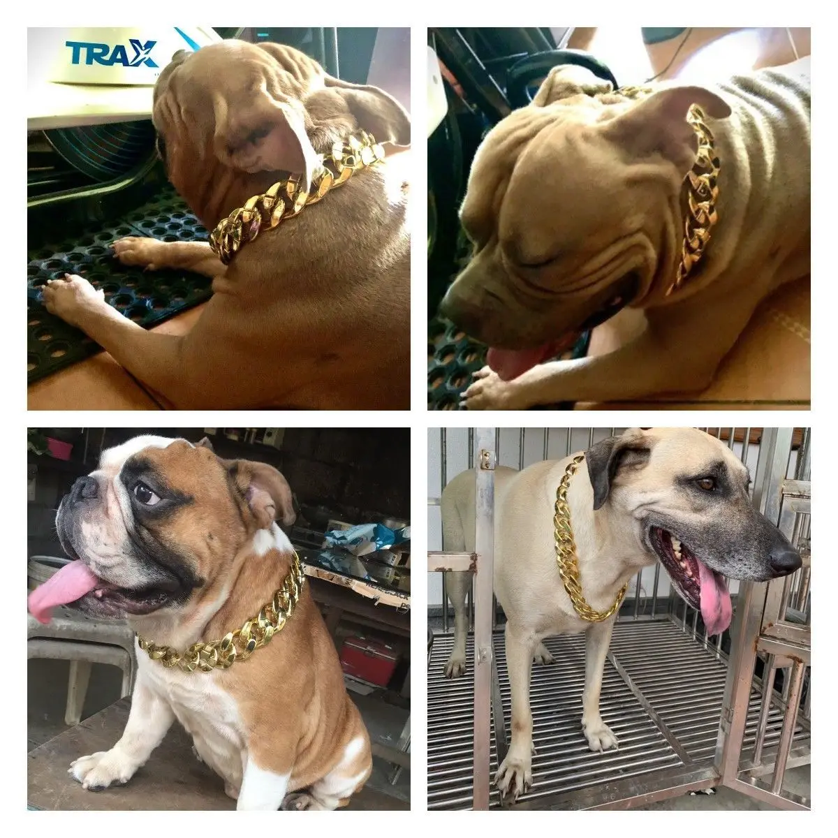 Прочный металлический ошейник для домашних питомцев золотистый большого