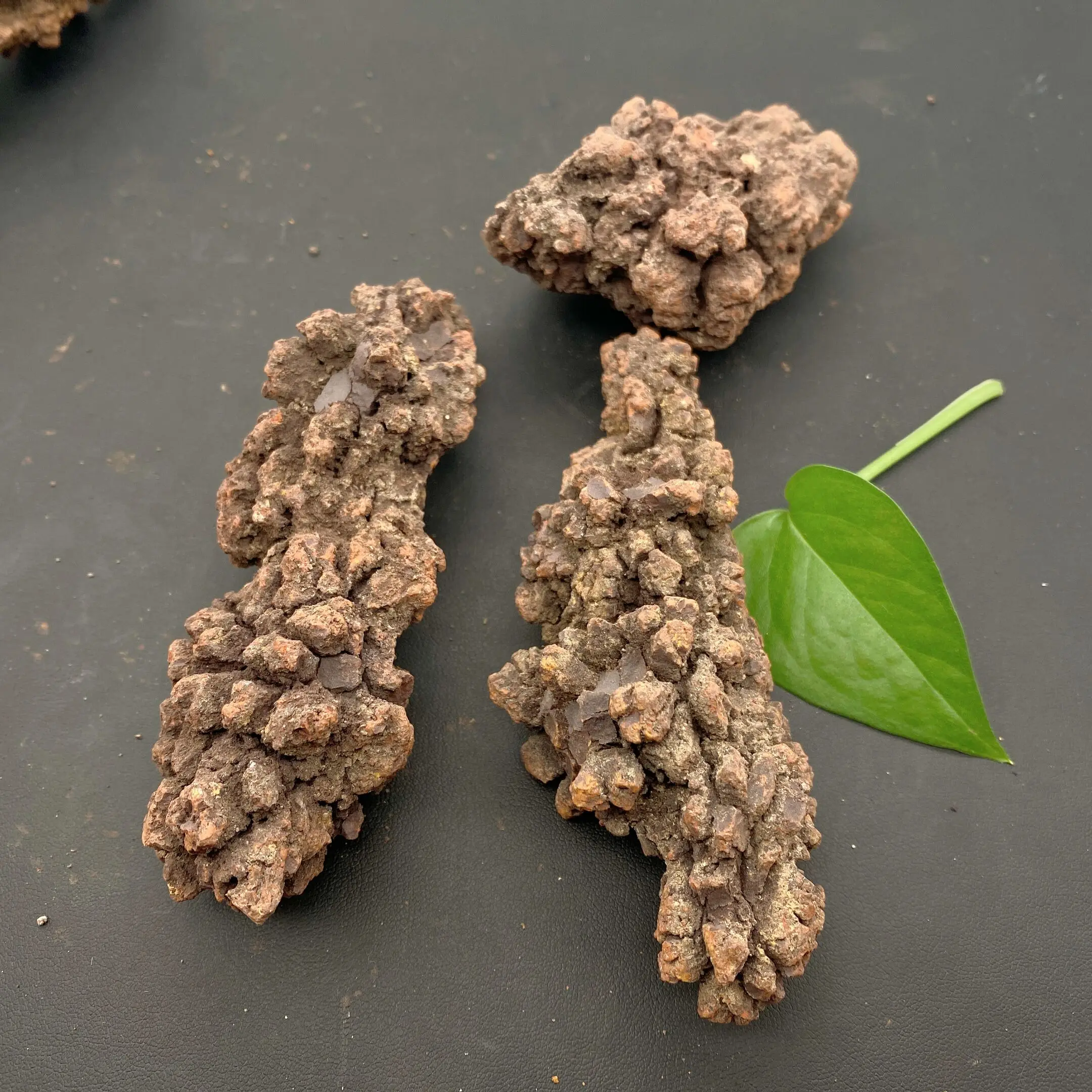 

Healing Quartz Crystals And Stones Specimen Fossil Dinosaur Poop Specimen Fossil Madagascar Gift Colle