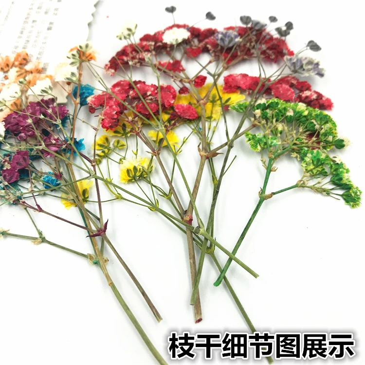 8 шт./пакет смешанный прессованный цветок маленькие сушеные Искусственные цветы