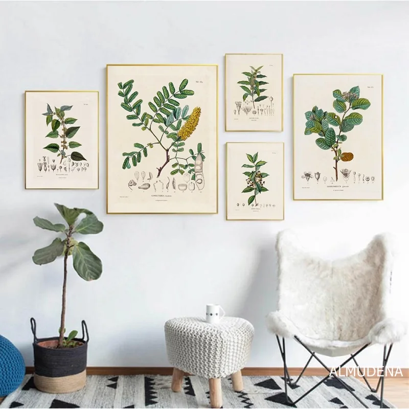 Античные французские растительные иллюстрации винтажные плакаты и принты