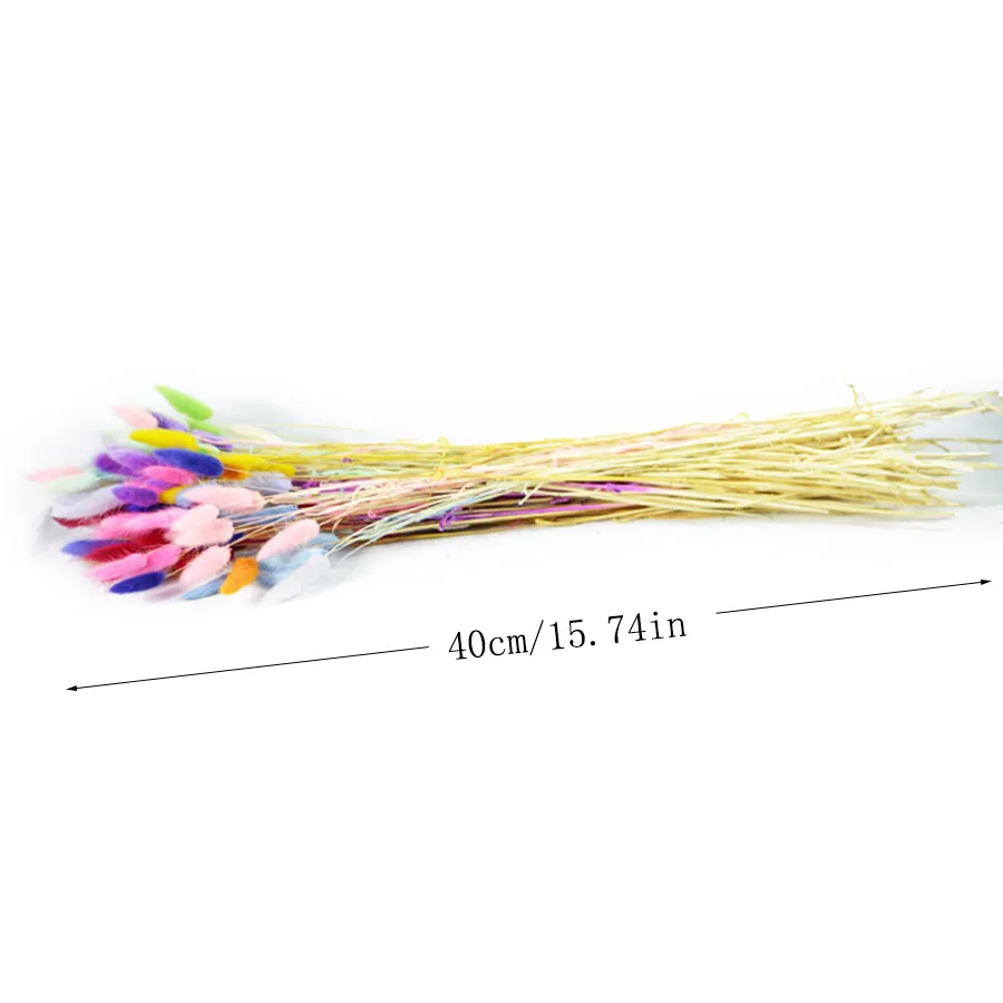 

20pcs natural dried flowers lagurus white artificial flowers colorful fake rabbit tail grass ovatus foxtail bouquet long bunches