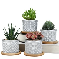cement succulent planter potscactus plant pot indoor vases small concrete herb with bamboo tray grey 4in set 2 95inch