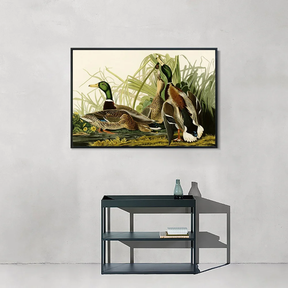 Кряква утка Джон Джеймс Audubon живопись холст искусство печать плакат Настенная