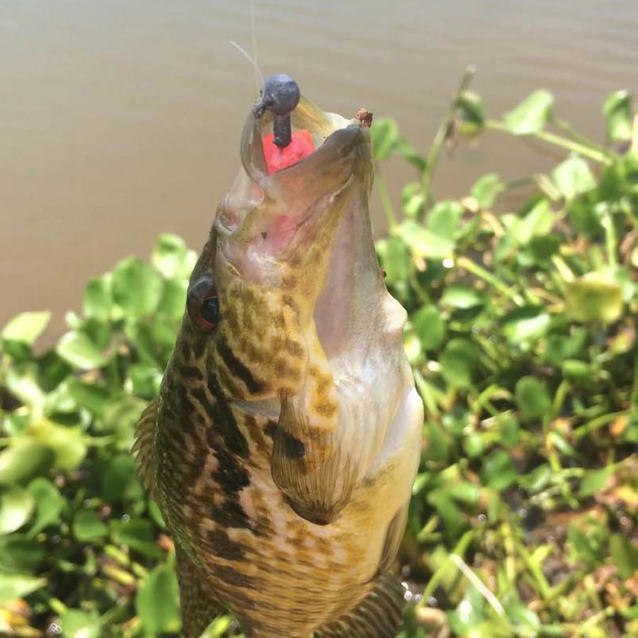 20-50 шт. рыболовный крючок с головкой pesca 1 г-20 г рыболовные крючки Неокрашенный свинец Jighead крючок для ловли карпа из высокоуглеродистой стали