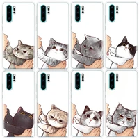 kiss cat cute kitten cartoon phone case for huawei p smart z 2021 y5 y6 y7 y9 honor 50 20 pro 10i 9 lite 9x 8a 8s 8x 7s 7x 7a co