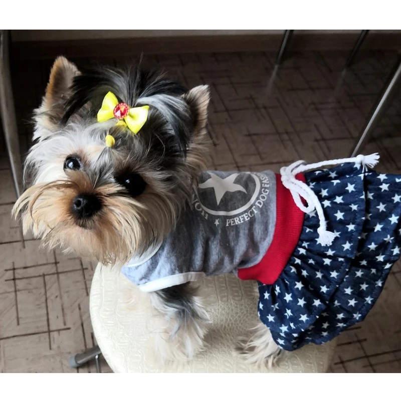 Модные звезды комплект из двух предметов с принтом собака платье для маленьких