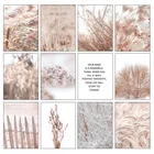 Пшеничный тростник, настенное искусство, холст, пейзаж, цветочное растение, картина для гостиной, современные картины на холсте, скандинавский постер, фото