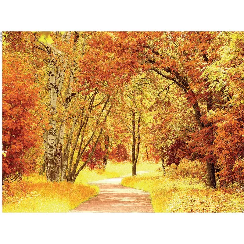 

Vinyl Custom Photography Backdrops scenery Landscapes and festivals Photography Background 200621HU-01