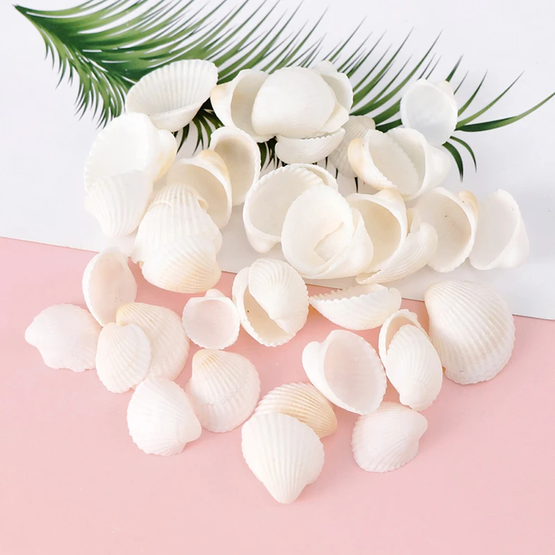 

Natural Conch Shells Mini Corn Screw DIY Aquarium Landscape Seashells Decoration
