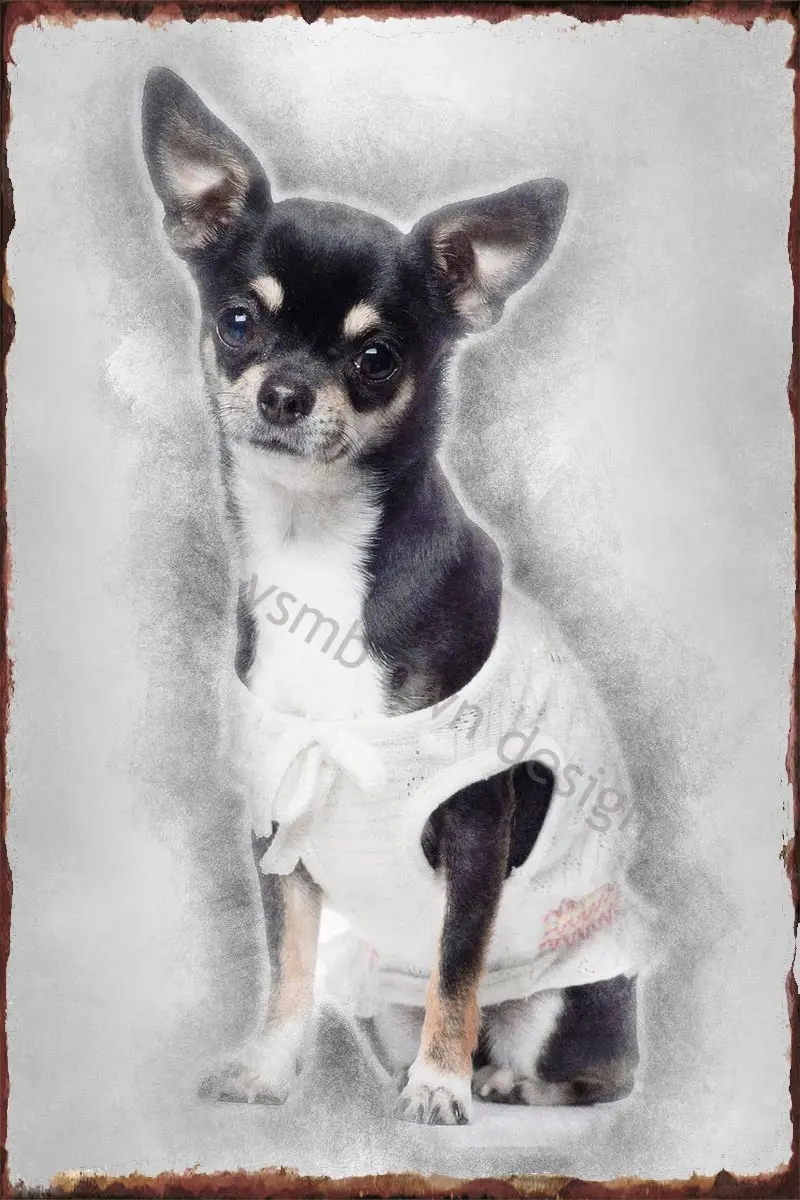 

Оловянная сидячая тарелка чихуахуа, Настенный декор, Ретро винтажный металлический знак, жестяной знак для художественного паба, дома, клуб...