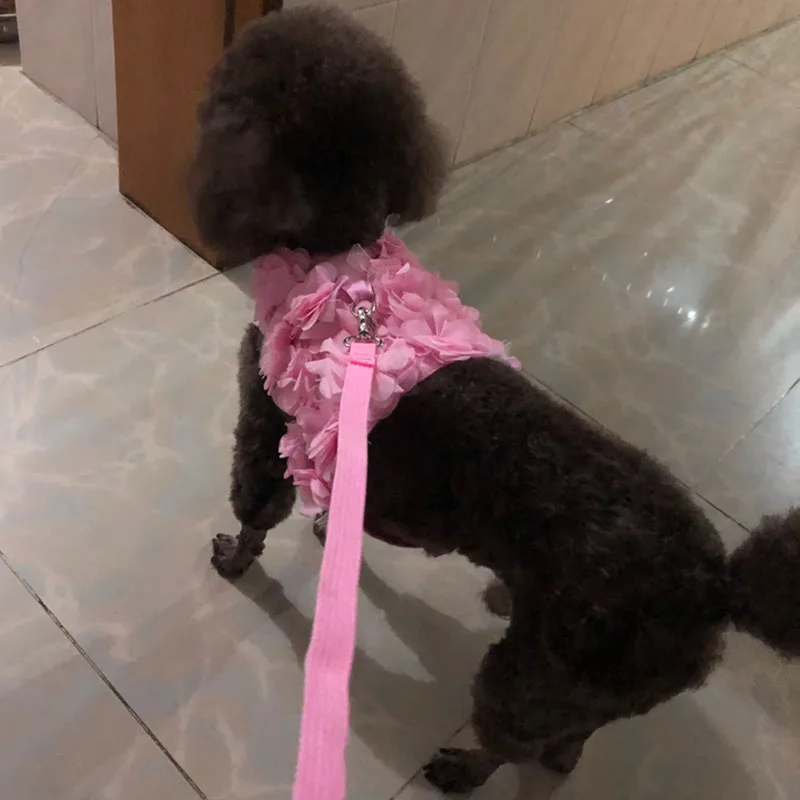 Шлейка и поводок для собак стильный жилет маленьких пород прогулок с щенками