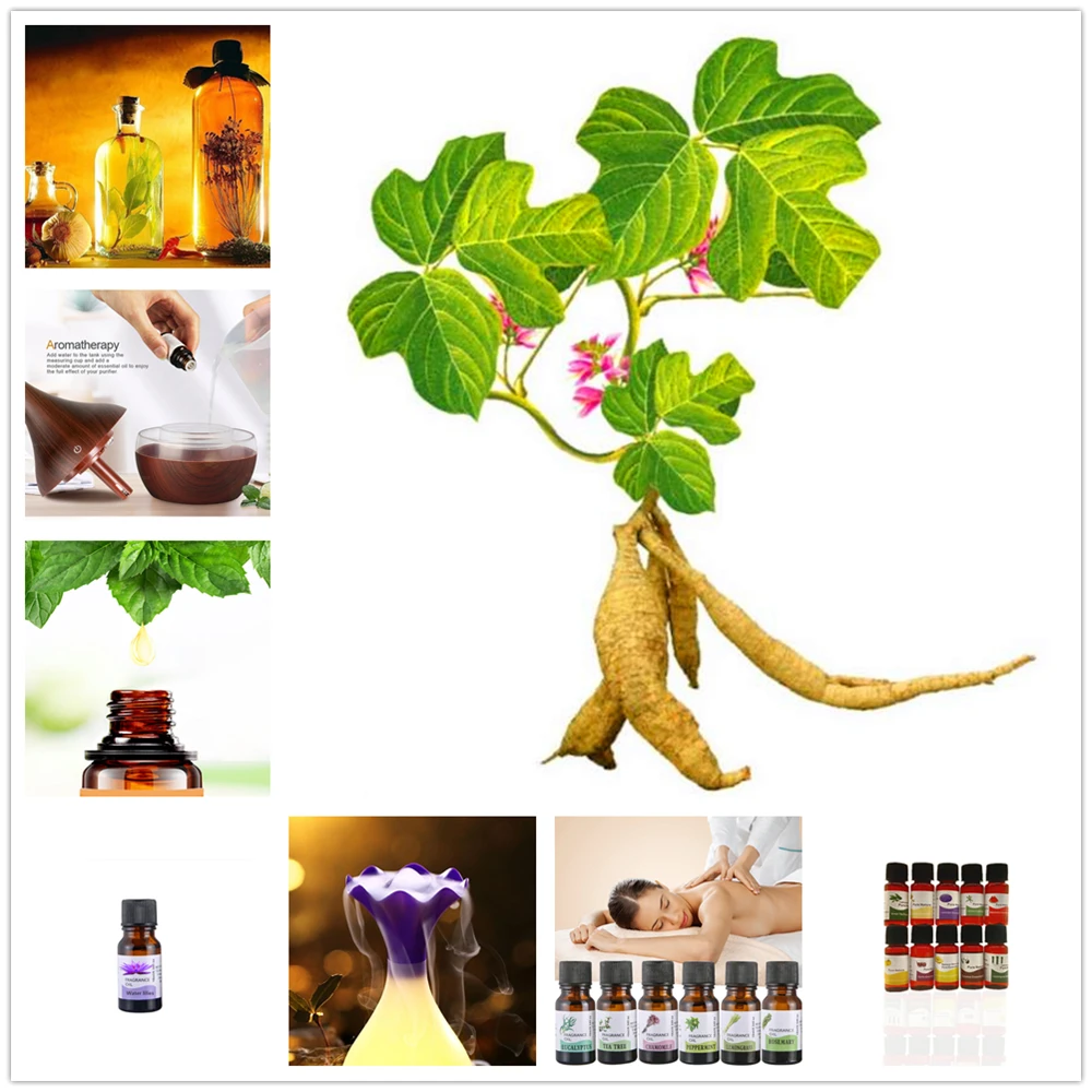 Высококачественные 10 мл чистые эфирные масла Магнолия denudata массажный