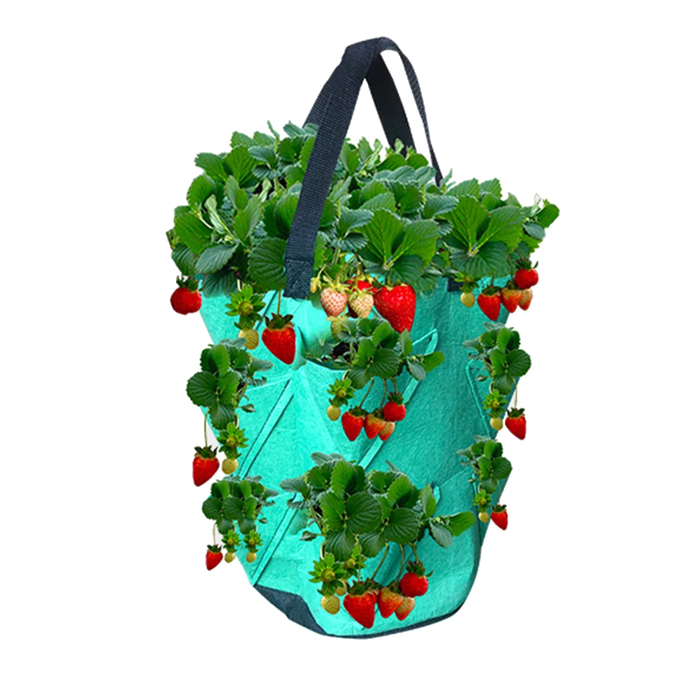 3 Gallon Strawberry Planting Growing Bag Multi-Mouth Plant Pot Container Pouch | Дом и сад