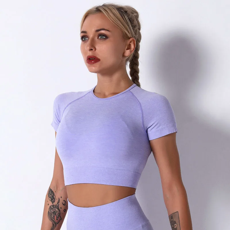 

SALSPOR Women Seamless Yoga Shirts Elastics Solid Breathable Fitness Sport Top Quick Dry Joggings Athletic Short Sleeve Top