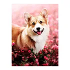 Corgi Gog цветок Алмазная картина животное Цветочный Круглый полный дрель Nouveaute DIY мозаика вышивка 5D Вышивка крестом узор