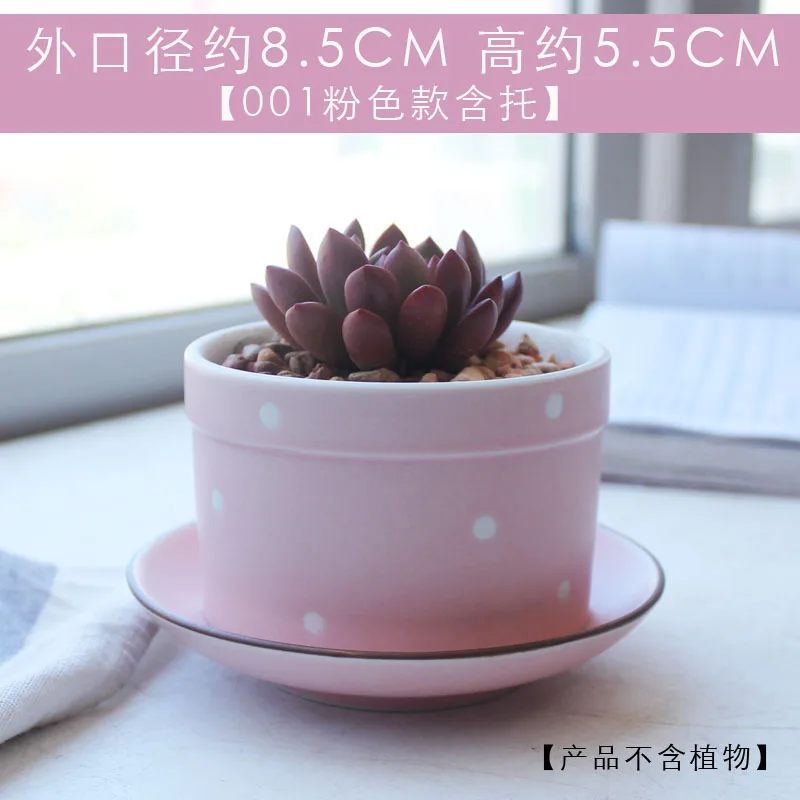 Керамический цветочный горшок с множеством мяса сердце молодой девушки розовый