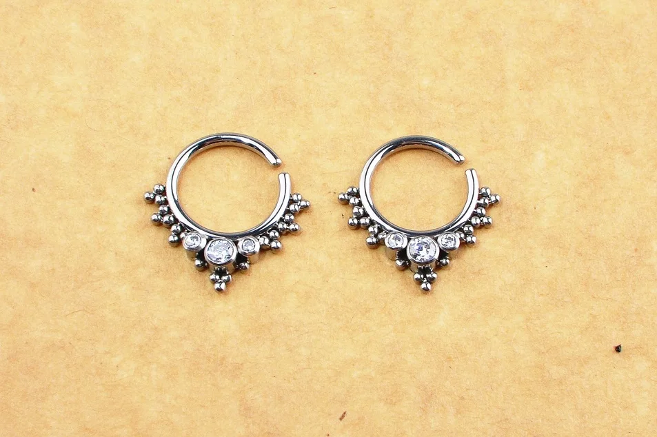 

ASTM F136 Titanium 16g Titanium Segment Hinged Rings Septum Nose Clicker Piercing Nose Lip Earrings Helix Nose Piercing Body 1pc