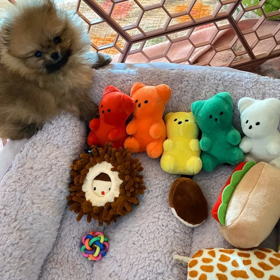 Корейские игрушки в стиле гумми медведи плюшевая игрушка для собак и кошек