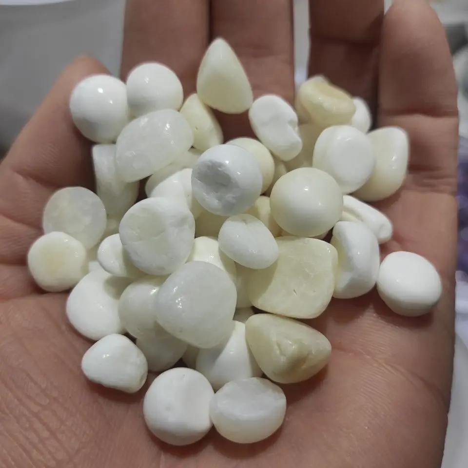 

100g Natural White Tridacna Gravel Fish Tank Flower Crystal Decoration Crystal Healing For Chakra Healing Fengshui Decortion