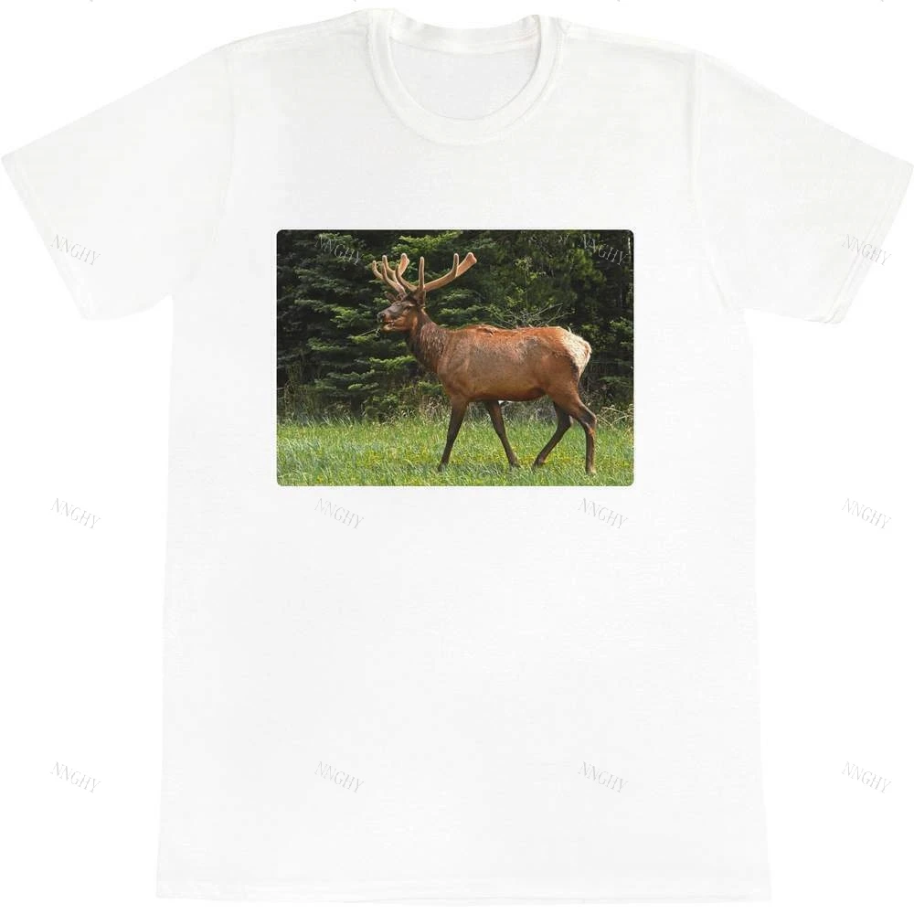 Мужские хлопковые футболки с оленем|Мужские футболки| |