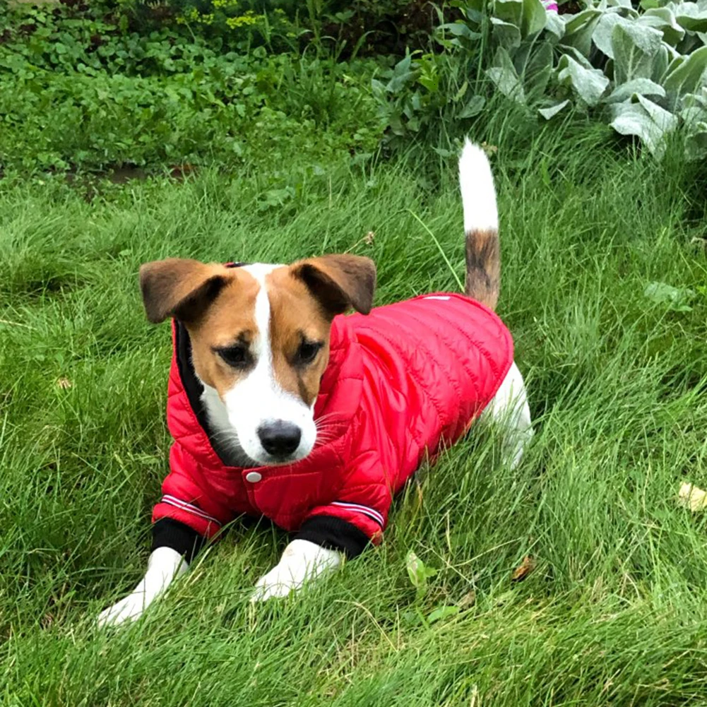 Одежда для собак зимние теплые куртки щенков чихуахуа одежда толстовки